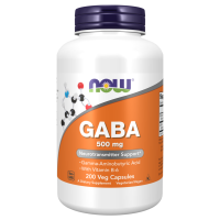 GABA with vitamin B-6 (500 mg), 100 vcaps